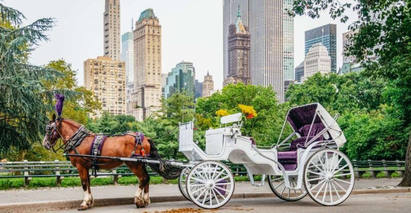 nyc-guided-central-park-horse-carriage-ride