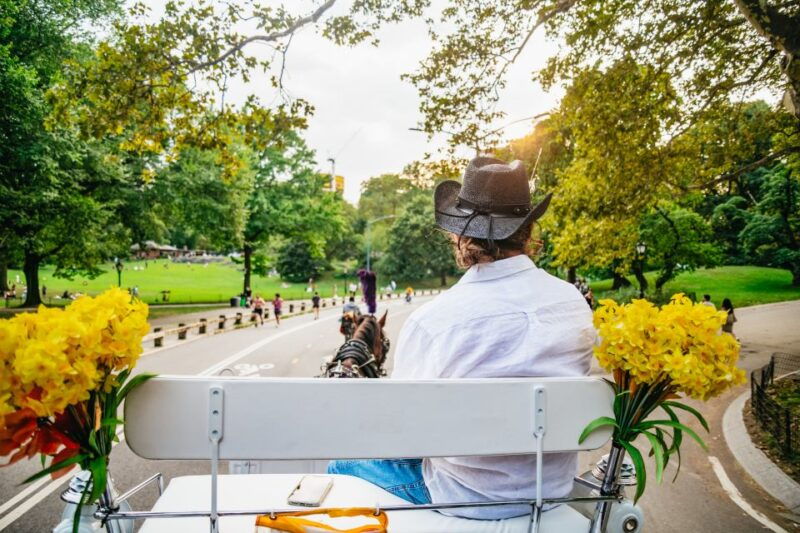 nyc-guided-central-park-horse-carriage-ride