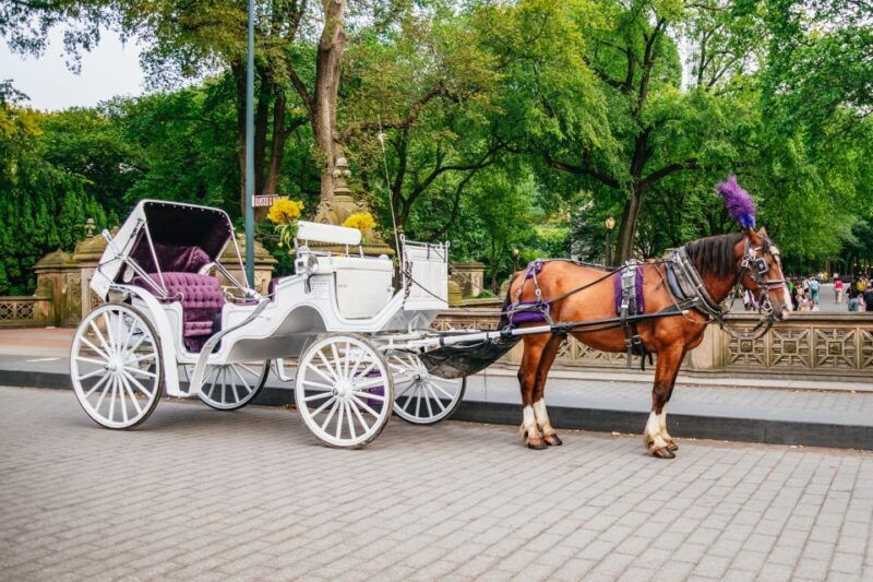 nyc-guided-central-park-horse-carriage-ride