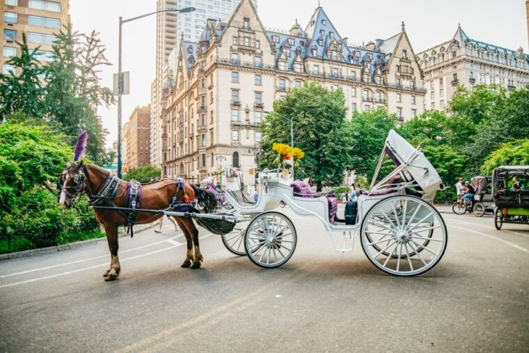 nyc-guided-central-park-horse-carriage-ride