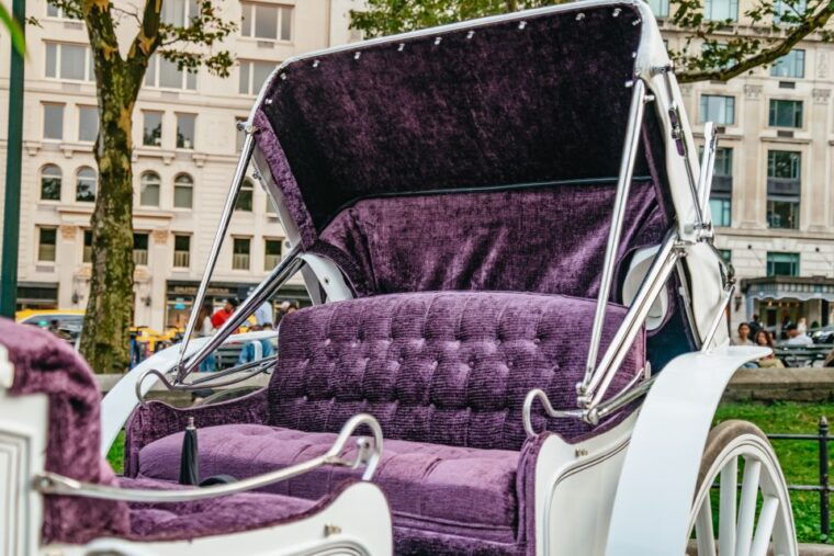 nyc-guided-central-park-horse-carriage-ride