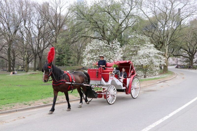 NYC: Guided Standard Central Park Carriage Ride (4 Adults) - What the Tour Includes and How It Works