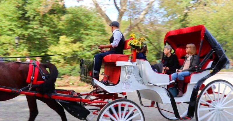 NYC: Guided Standard Central Park Carriage Ride (4 Adults) - Unique Experiences & Photo Opportunities