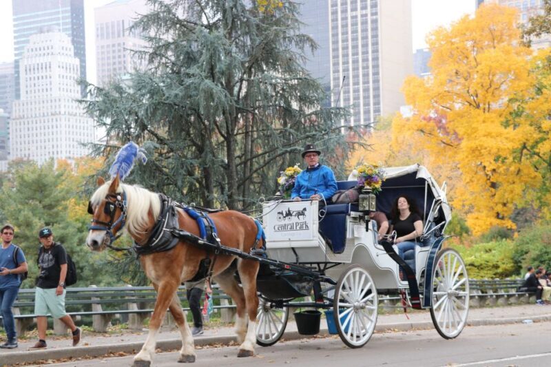 NYC: Guided Standard Central Park Carriage Ride (4 Adults) - The Human Element: Guides and Drivers