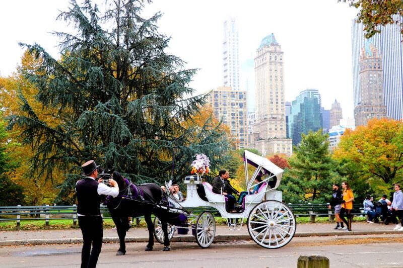 NYC: Guided Standard Central Park Carriage Ride (4 Adults) - Comfort and Practical Details