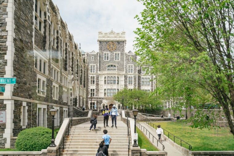 nyc-harlem-bronx-with-yankees-baseball-game-1-day-tour-2