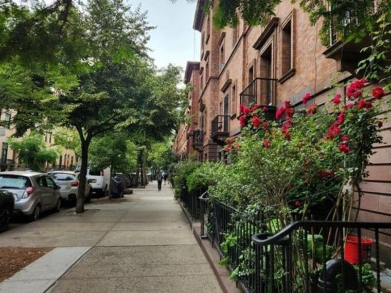 nyc-harlem-guided-walking-tour