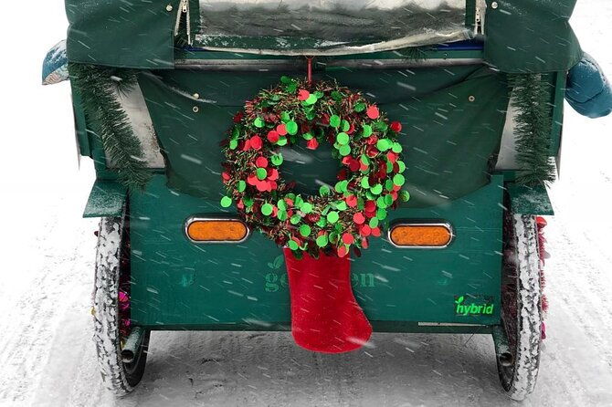 nyc-holiday-lights-and-magic-pedicab-tour