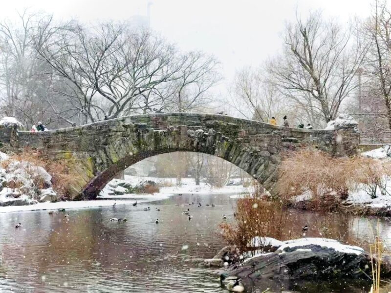NYC: Home Alone 2 and Elf Tour in Central Park - What You Can Expect from the Tour