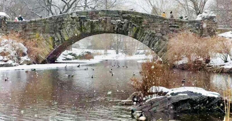 nyc-home-alone-2-and-elf-tour-in-central-park
