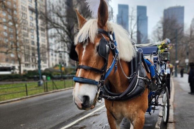 nyc-horse-and-carriage-central-park-tours