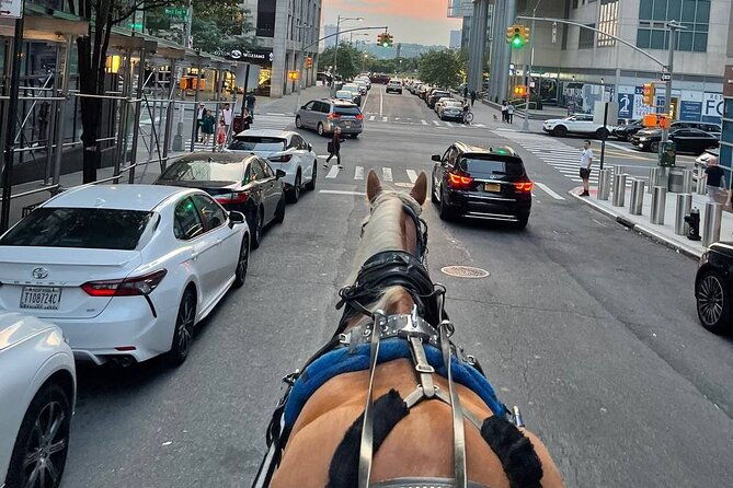 nyc-horse-and-carriage-central-park-tours