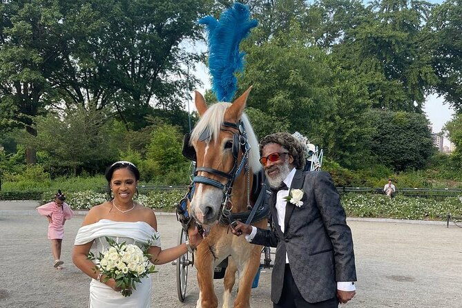 nyc-horse-and-carriage-central-park-tours