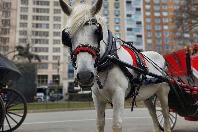 nyc-horse-and-carriage-central-park-tours