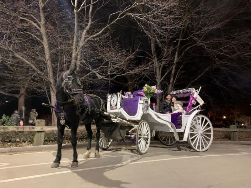 nyc-horse-carriage-ride-in-central-park-65-min