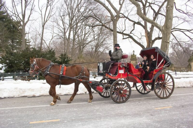 nyc-horse-carriage-ride-in-central-park-65-min
