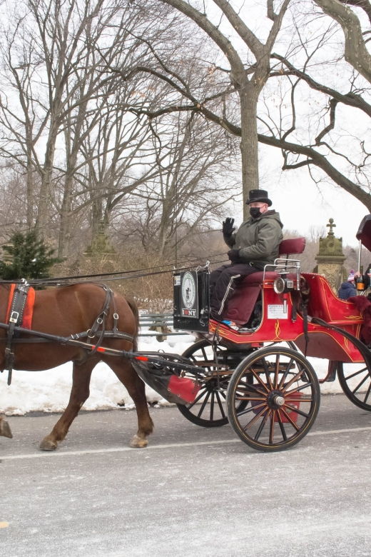 nyc-horse-carriage-ride-in-central-park-65-min