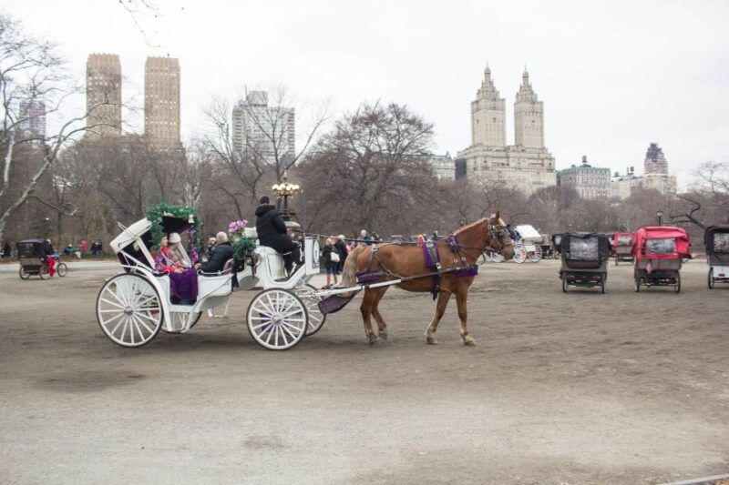 nyc-horse-carriage-ride-in-central-park-65-min