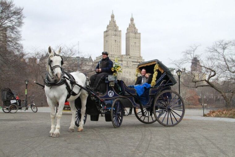 nyc-horse-carriage-ride-in-central-park-65-min