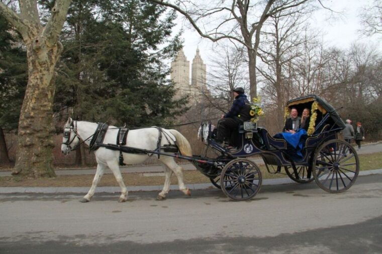 nyc-horse-carriage-ride-in-central-park-65-min