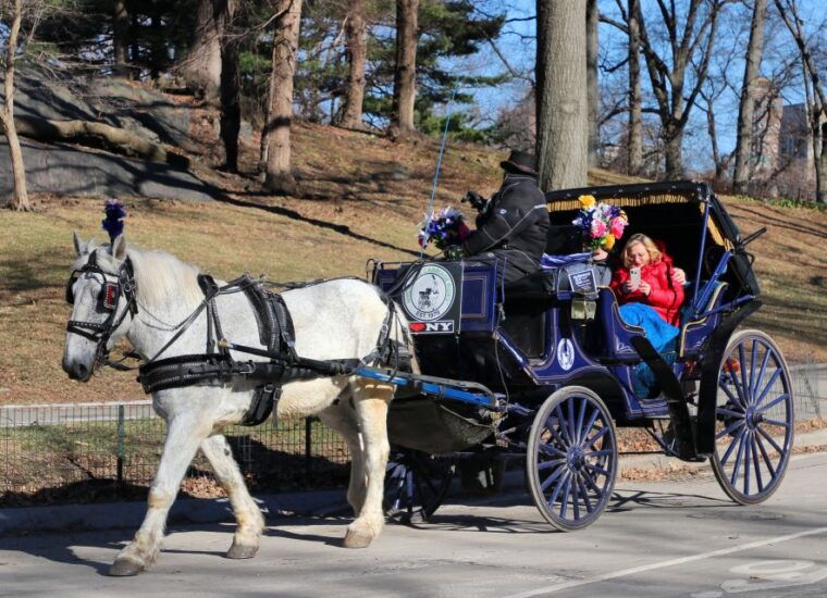 nyc-horse-carriage-ride-in-central-park-65-min
