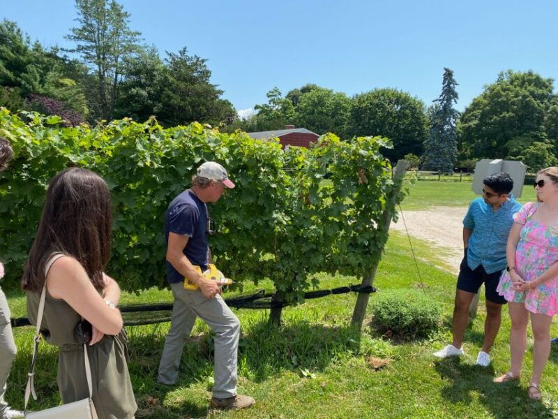 nyc-long-island-sommelier-guided-wine-tasting-tour