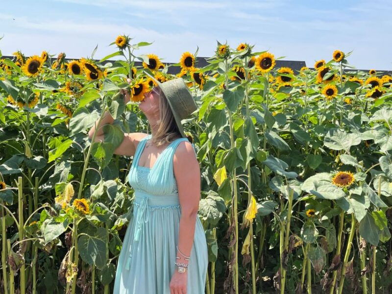 nyc-long-island-sommelier-guided-wine-tasting-tour