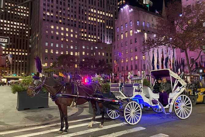 nyc-magical-christmas-lights-private-horse-carriage-ride
