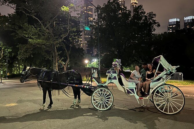 nyc-magical-christmas-lights-private-horse-carriage-ride