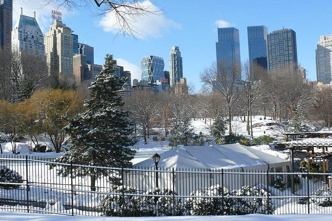 nyc-manhattan-private-custom-christmas-tour-with-a-local-guide