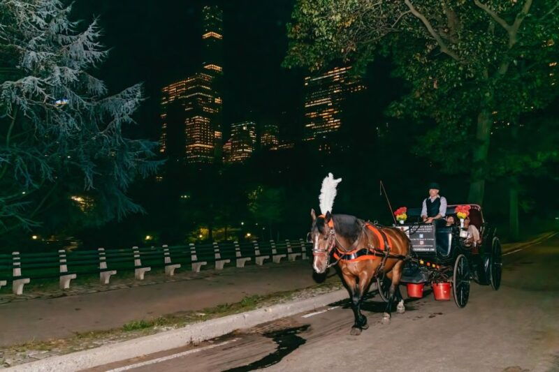 nyc-moonlight-horse-carriage-ride-through-central-park