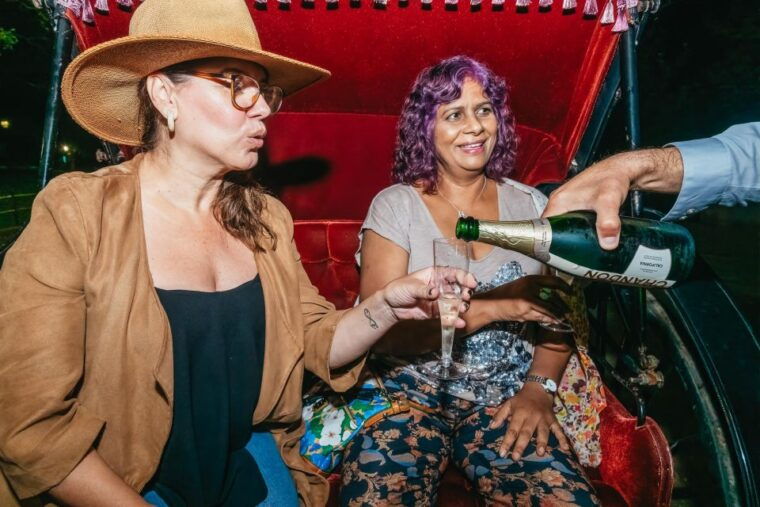 nyc-moonlight-horse-carriage-ride-through-central-park