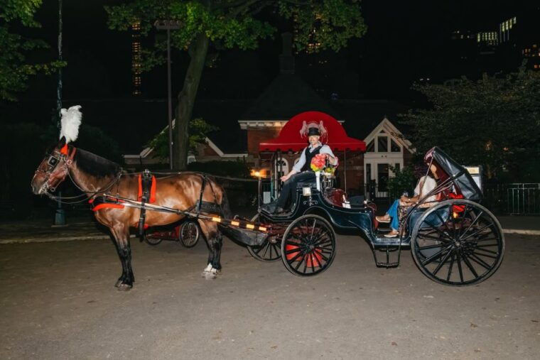 nyc-moonlight-horse-carriage-ride-through-central-park