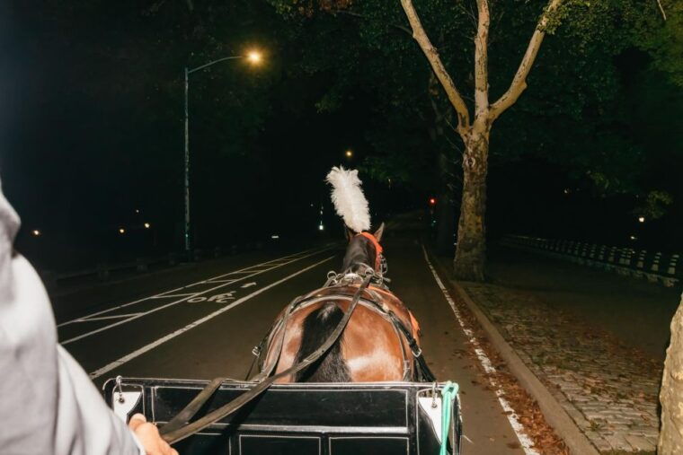 nyc-moonlight-horse-carriage-ride-through-central-park