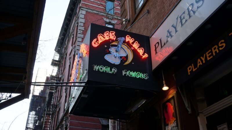 NYC: New York City History of Stand-Up Comedy Tour - The Sum Up: Who Should Consider This Tour?