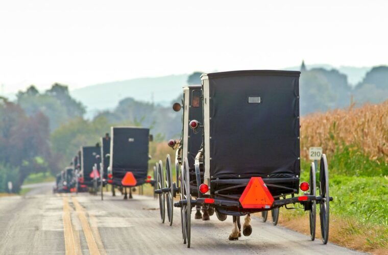 nyc-niagara-falls-toronto-philadelphia-dc-5-day-tour