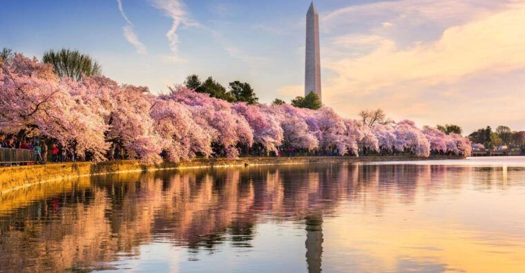 nyc-niagara-falls-toronto-philadelphia-dc-5-day-tour