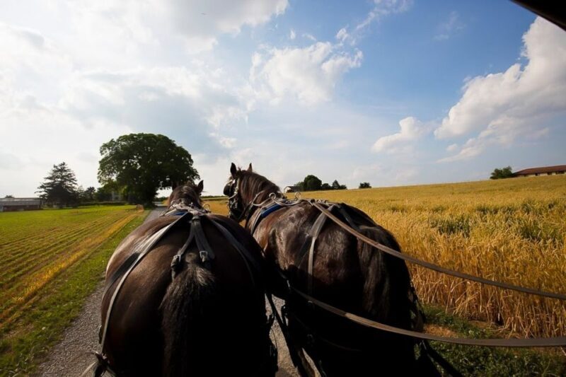 NYC: Philadelphia, Washington DC & Amish Country 2-Day Tour - Key Points