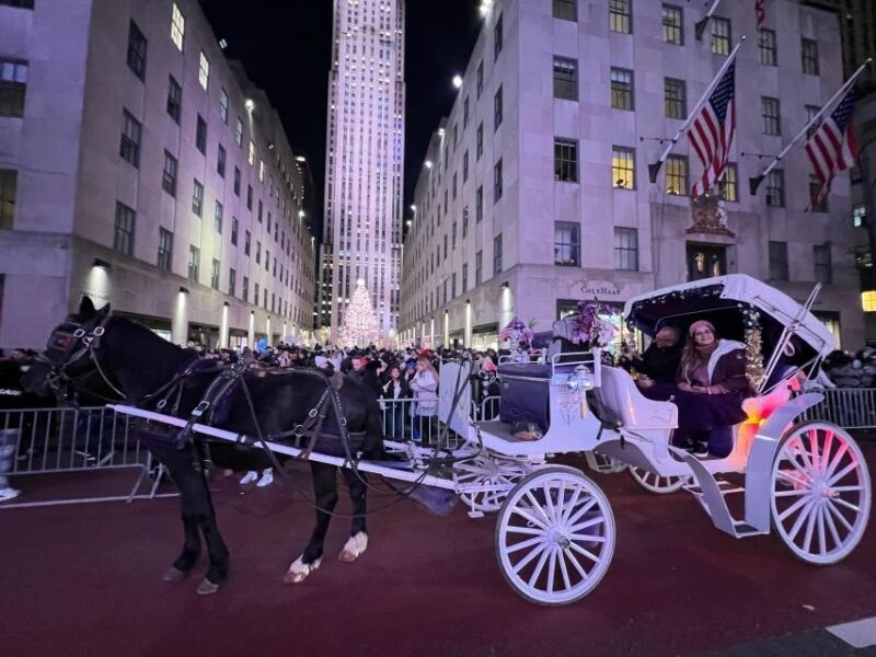 NYC: Private Central Park and NYC City Tour - Frequently Asked Questions