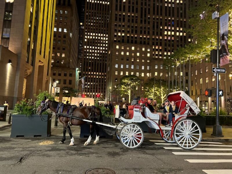 NYC: Private Central Park Horse Carriage Ride with Guide - What to Expect on Your Ride