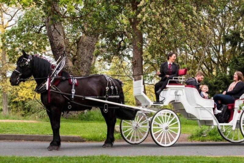NYC: Private Central Park Horse Carriage Ride with Guide - A Beautiful Ride in All Seasons