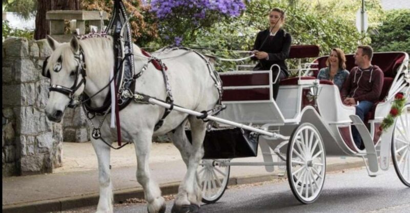 NYC: Private Central Park Horse Carriage Ride with Guide - The Highlights of the Itinerary