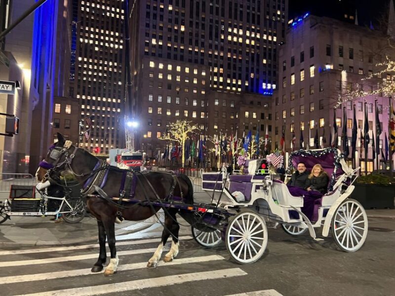NYC: Private Central Park Horse Carriage Ride with Guide - The Practical Side: Booking & Cost