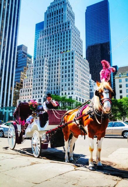 NYC Private Central Park Horse Carriage Ride with Guide - Final Thoughts