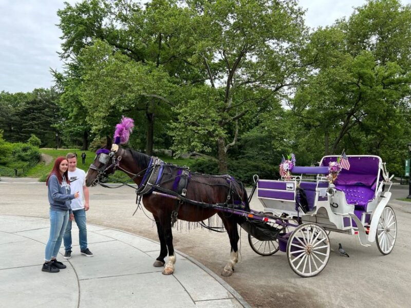 nyc-private-central-park-horse-carriage-ride-with-guide