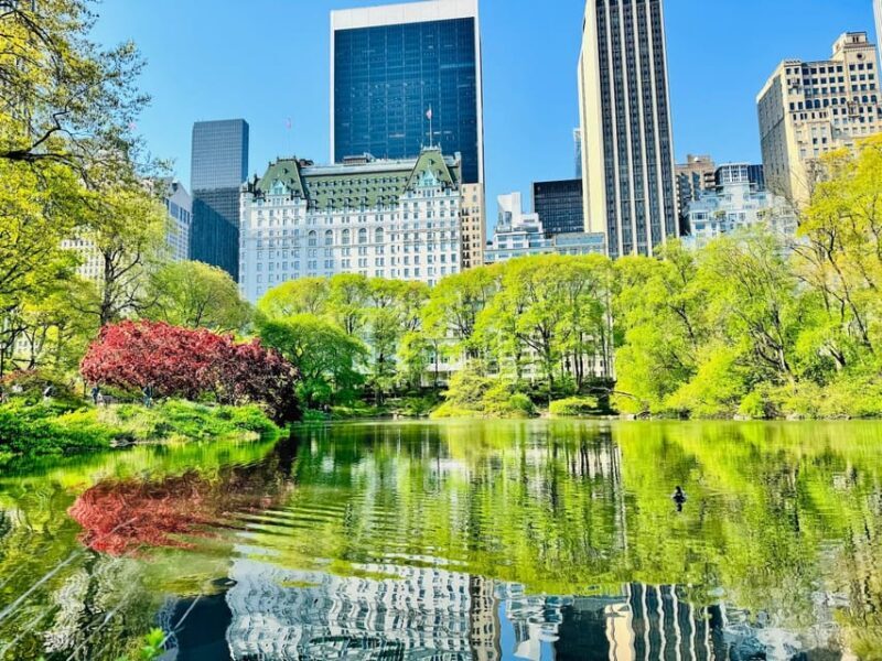 NYC: Private Central Park Pedicab Tours / PICKUP FROM MUSEUM - The Bottom Line: Is It Worth It?