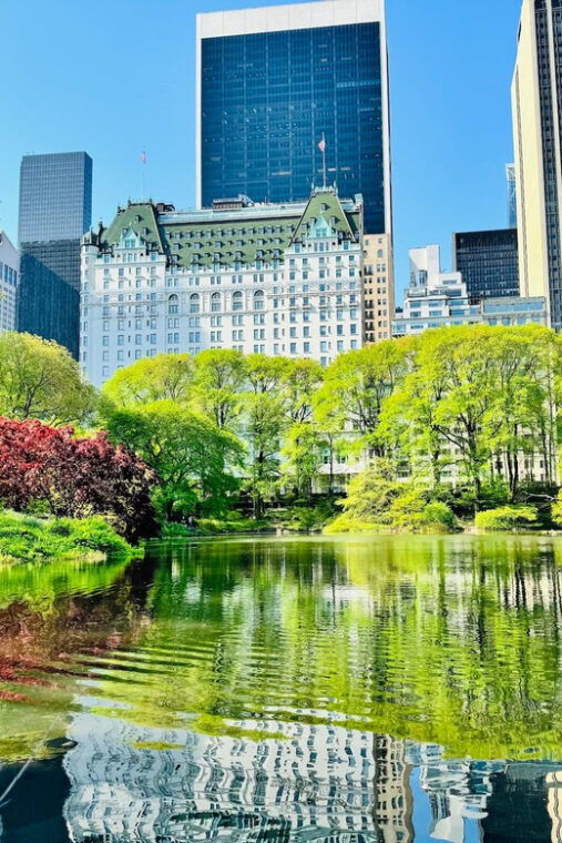 nyc-private-central-park-pedicab-tours