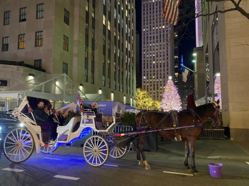 NYC: Private Christmas Lights Horse Carriage Ride - A Deep Dive into the Experience