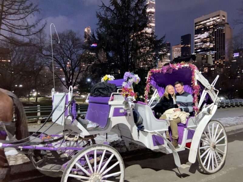 NYC: Private Christmas Lights Horse Carriage Ride - Final Thoughts: Is It Worth It?