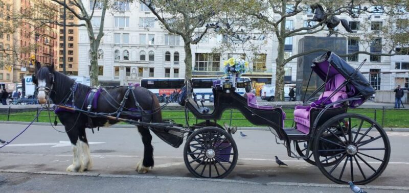 NYC: Private Christmas Lights Horse Carriage Ride - The Experience: An Authentic NYC Charm